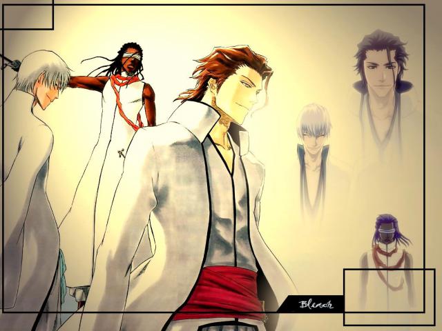 Bleach_233