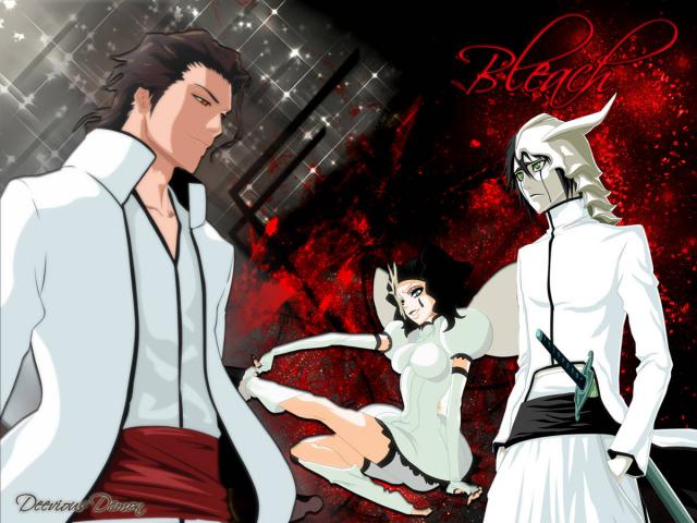 Bleach_235