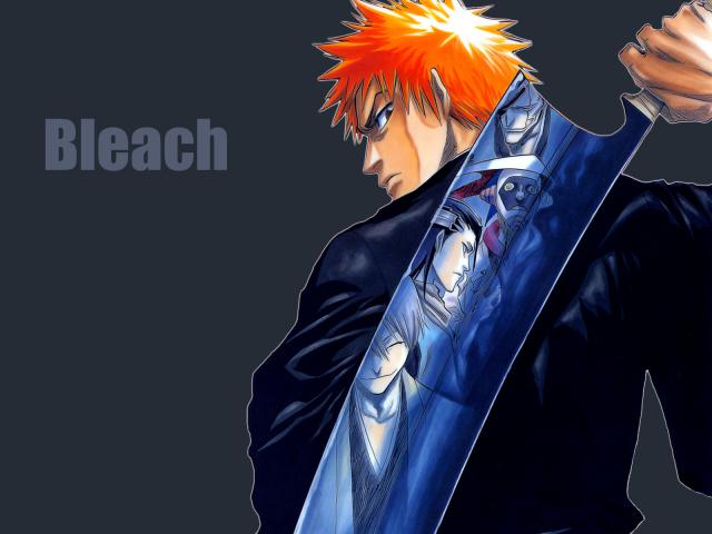 Bleach_244