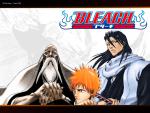 Bleach_252