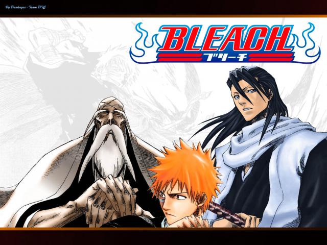 Bleach_252