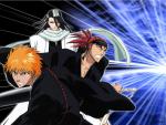 Bleach_254