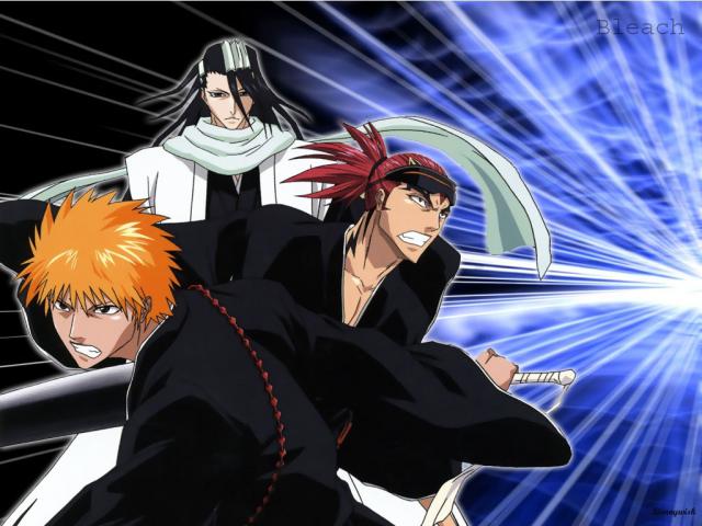 Bleach_254