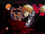 Bleach_262