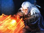 the_witcher_2