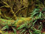 Parks_079