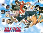 Bleach_285