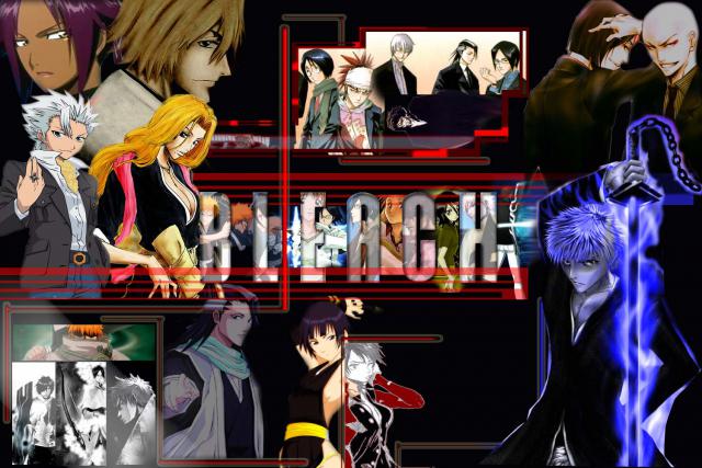 Bleach_289
