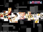 Bleach_294