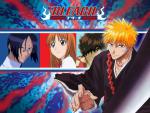 Bleach_300