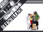 Bleach_302
