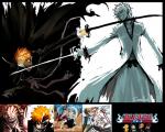Bleach_304