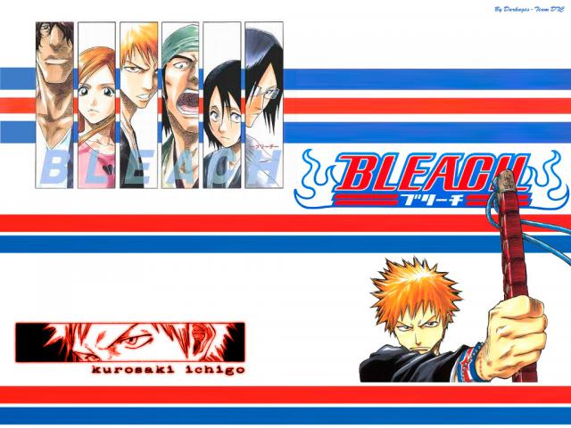 Bleach_311