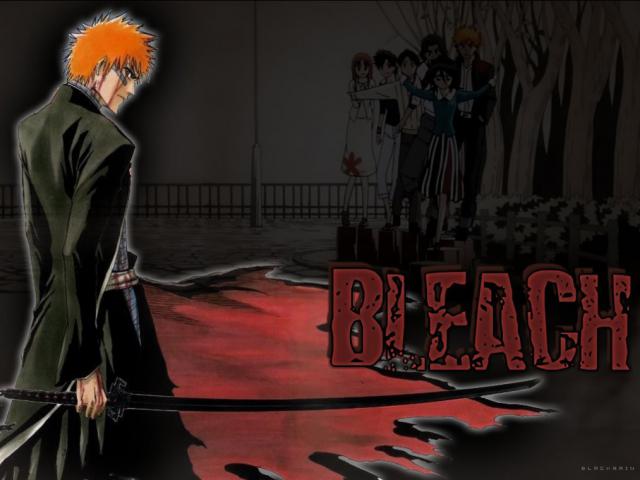 Bleach_312
