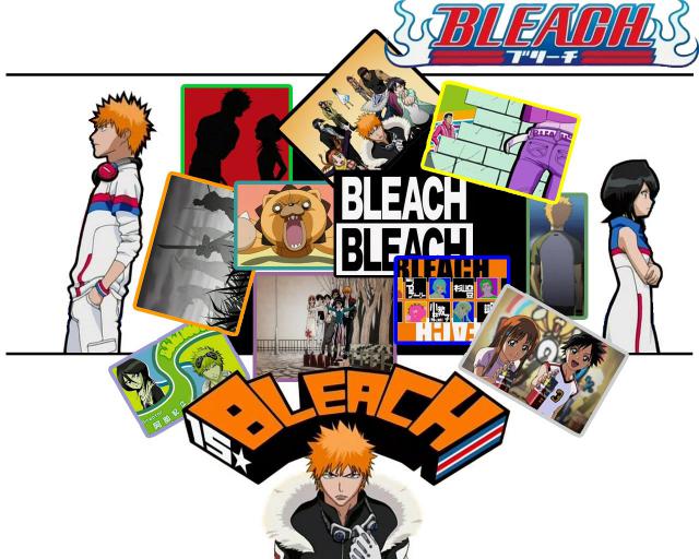 Bleach_314