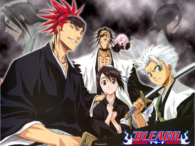 Bleach_320