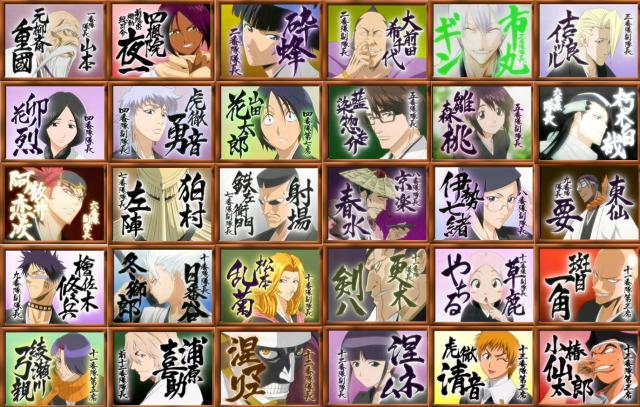 Bleach_323