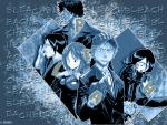Bleach_324