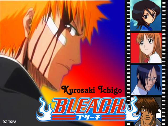 Bleach_325