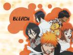 Bleach_326