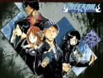 Bleach_331