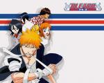 Bleach_332