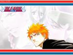 Bleach_336