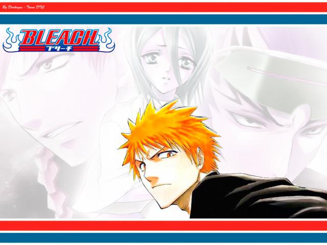 Bleach_336