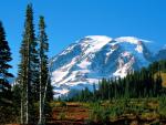 Parks_125