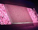 opening_ceremony120