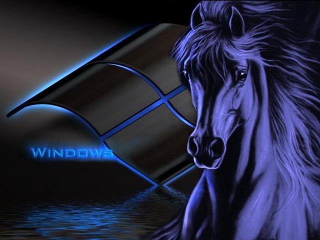 windows_xp_264