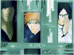Bleach_342