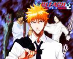 Bleach_346