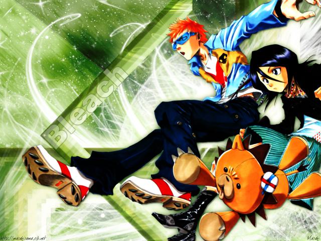 Bleach_348