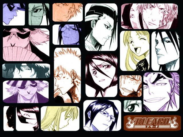 Bleach_349