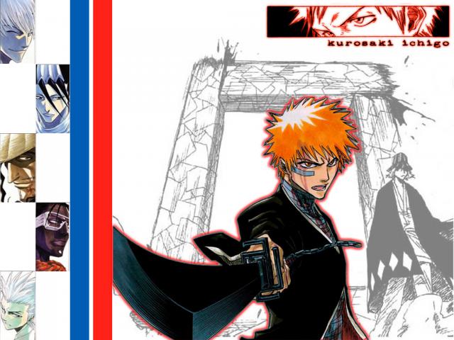 Bleach_353