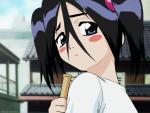 Bleach_411