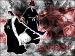 Bleach_412