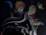 Bleach_441