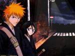 Bleach_444
