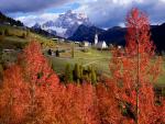 Italy_010