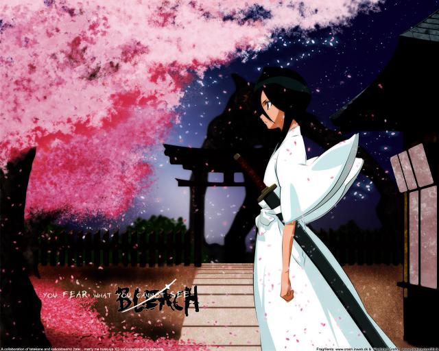 Bleach_532