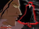 Bleach_561