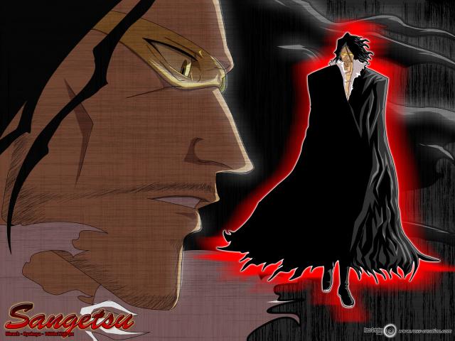 Bleach_561