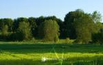 windows_7_280