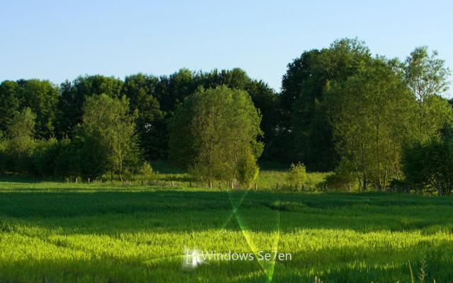 windows_7_280