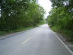 watwaphukaew50
