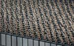 opening_ceremony259