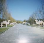 china_108