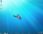 windows_7_294